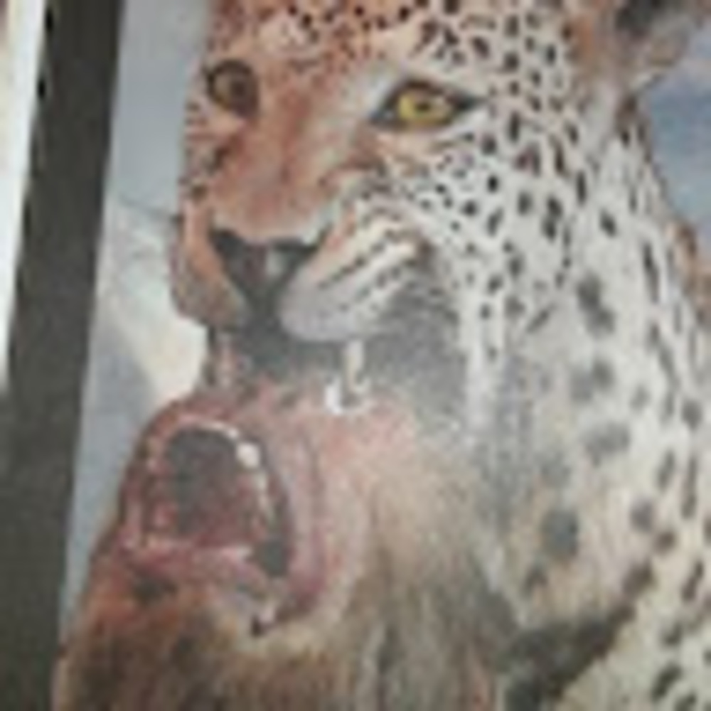 Meet your Posher, Ge